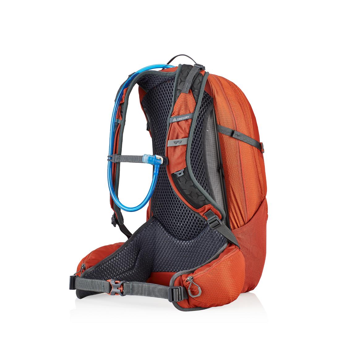 Gregory Citro 24 H2O Hiking Backpack Men Orange Ireland 3951PDLQN